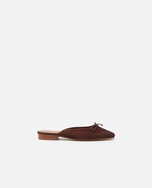 Brown Shoes Flattered Malva Suede Ballet Flats | UCAND44642