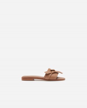 Brown Shoes Flattered My Leather Sandals | SCANY98609