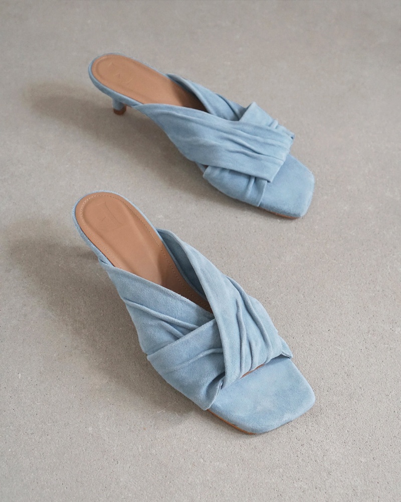 Blue Shoes Flattered Emi Suede Heels | CADFL55042