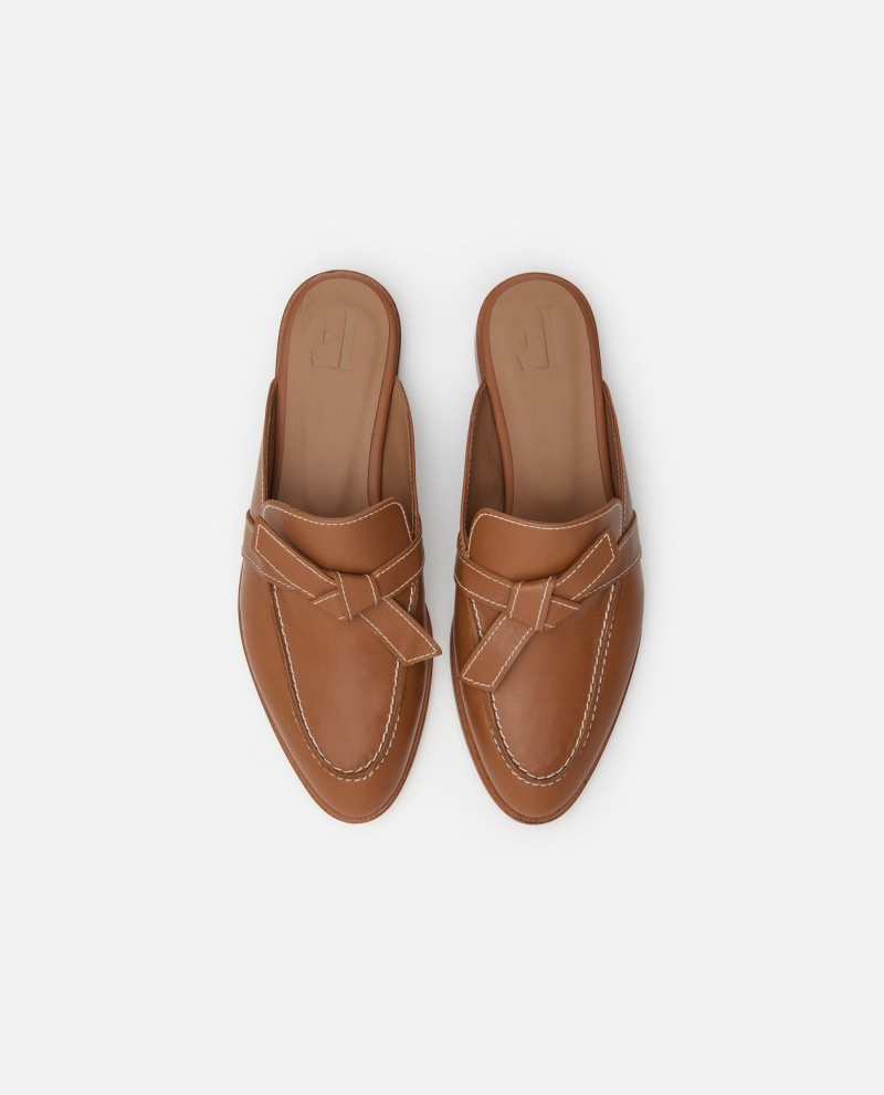 Brown Shoes Flattered Daisy Leather Ballet Flats | DCAVO38502